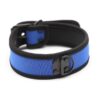 Collar de neopreno ajustable - Imagen 9