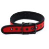 Collar de neopreno ajustable - Imagen 4