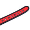 Collar de neopreno ajustable - Imagen 7