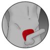 Viper. Anillo para el pene electroestimulación - Imagen 6