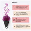 Copa menstrual Gcup Mystic Noir talla S - Imagen 8