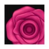 Blossom pro 2. Succionador - Imagen 3