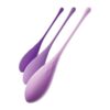 Train-her set de 3 bolas kegel